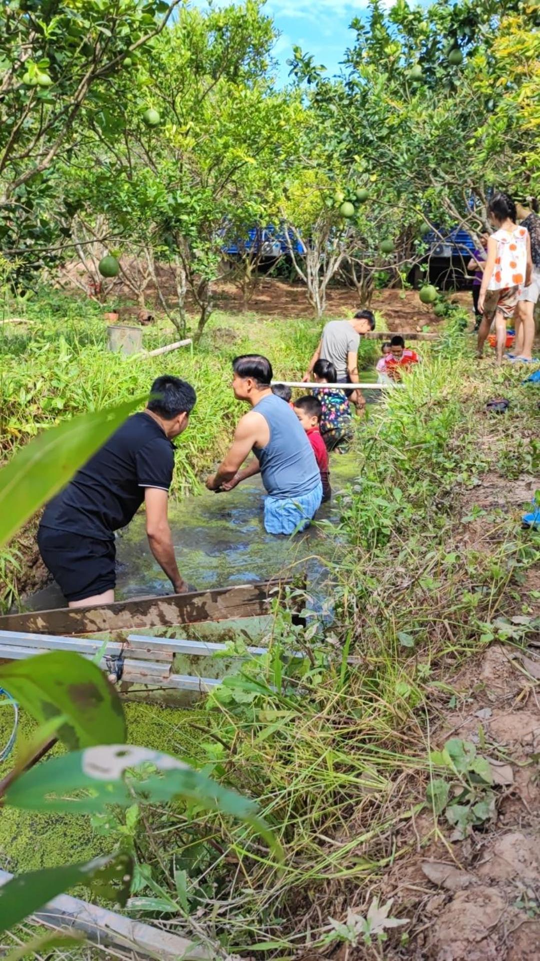 Con Phung Resort Mekong - Nature Escape With Free Boat Shuttle & Fishing Ben Tre Eksteriør billede